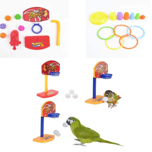 10 Bird Training Toys - Parrot Intelligence Toys