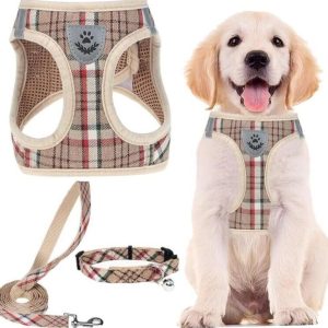 Adjustable Dog Harness Collar and Leash Set , Khaki XXS