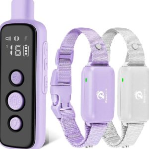 Dog Shock Collar for 2 Dogs - new in box