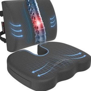 FORTEM Seat Cushion and Lumbar Support