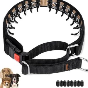 Mayerzon Dog Collar, Patented Martingale