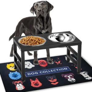 Metal Raised Dog Bowl, 10" Tall Elevate- new in box