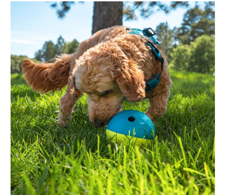 Outward Hound by Nina Ottosson Treat Tumble - new - Image 3