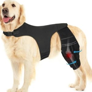 Pawfun Dog Knee Brace for Torn ACL Hind Leg XL- new