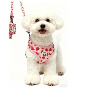 PETLYT  3-in-1 Pet  Harness XS-  qty 2