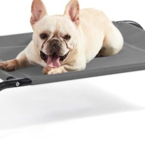 Raised Dog Cot for Medium Dogs upto 65lbs - new in box
