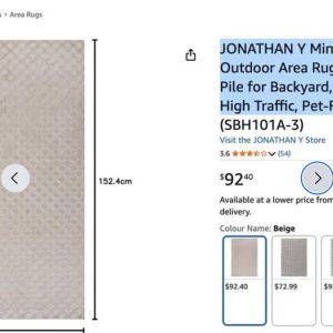 Rug indoor Outdoor Area Rug 3X5 Beige- new in bag