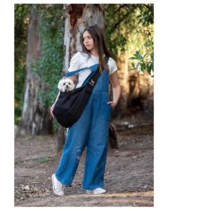 Small pet carrier medium dog carrier