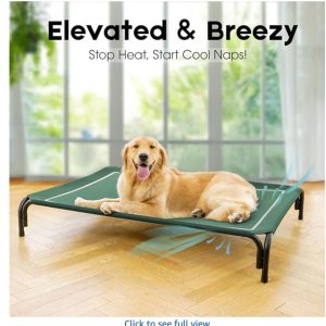 Dopedio Elevated Outdoor Dog Large  green Bed - new in box