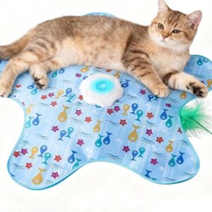 Indoor Cat Toys: 2-in-1 Wand Toy - new inbox