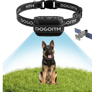 Wireless Dog Fence- new in box