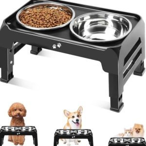 Elevated Dog Bowls -new in box