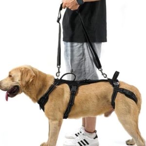 Dog Lift Harness M - new in box