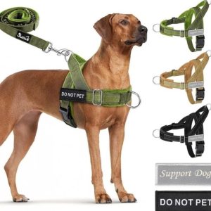No Pull Dog Harness and Leash Set M Green- new