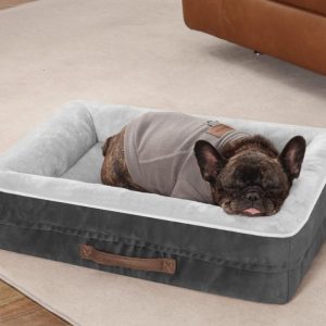 Orthopedic Dog Bed-24x18- brand new