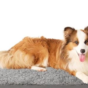 Dog Bed Large XL 42x 30 grey - new