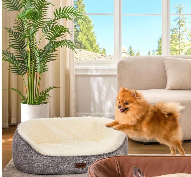 Orthopedic Memory Foam Dog Bed Sofa Set with 3 Washable Cover for Summer and Winter-new in box