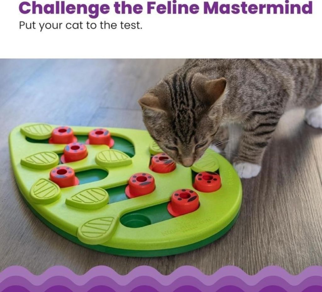 Out Puzzle & Play, Interactive- new