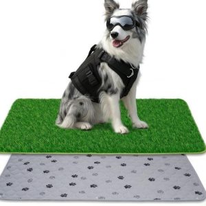 Pee Pads Dog 2-in-1 Artificial Grass & Reusable