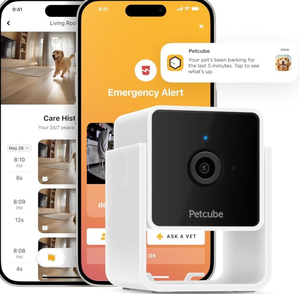 Petcube Camera-new in box
