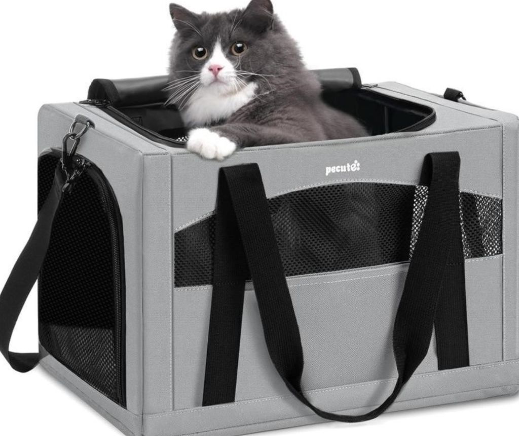 Cat Carrier Dog Carrier with Breathable- new in box