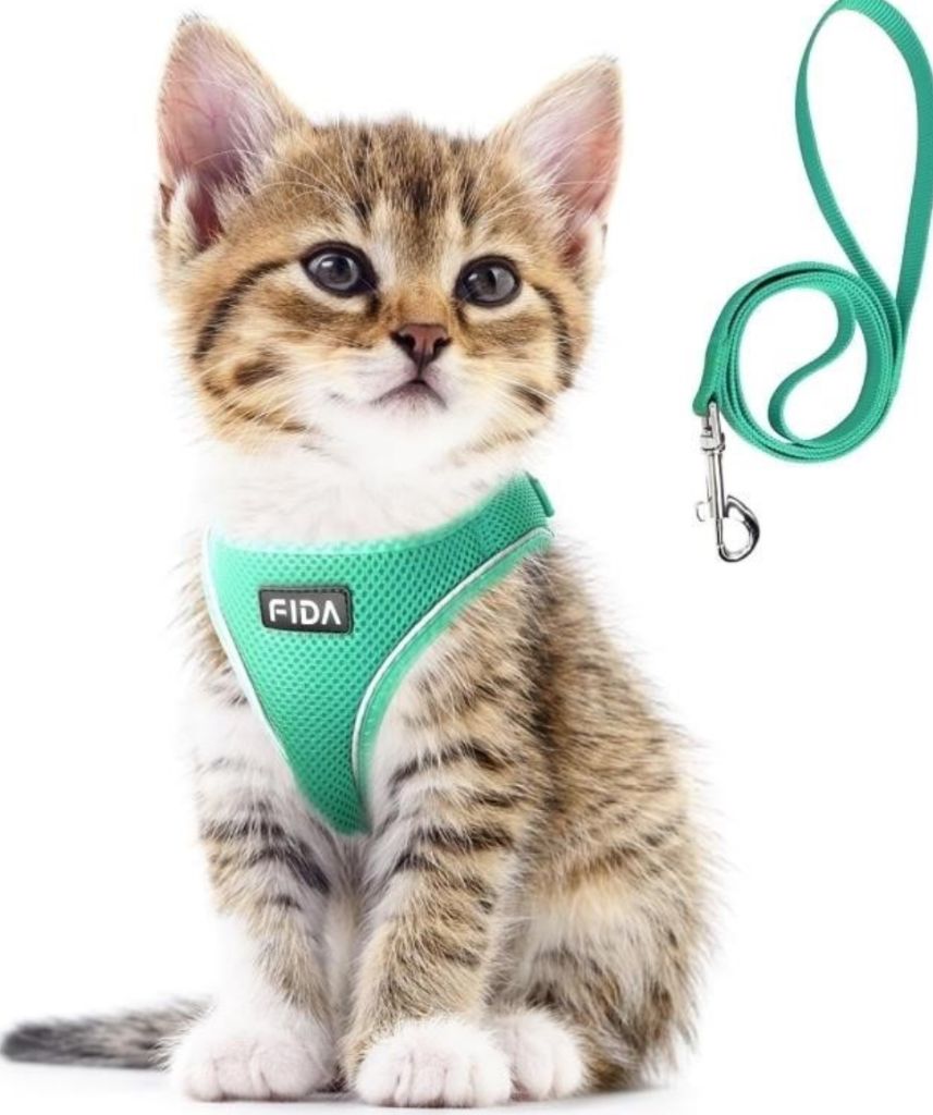 Fida Cat Harness and Leash Set for Walking Kitten - new