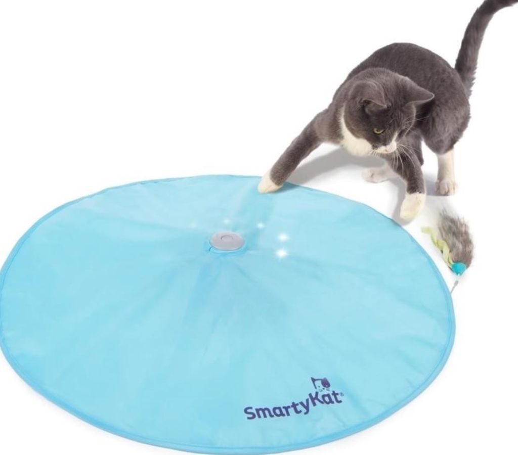 Hot Pursuit Cat Toy Concealed Motion Toy-new