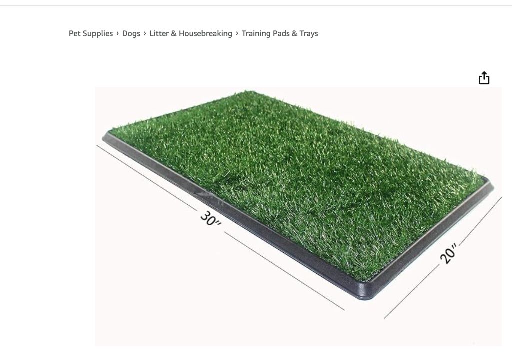 Pet Grass Pad with Tray 20x30- new in box