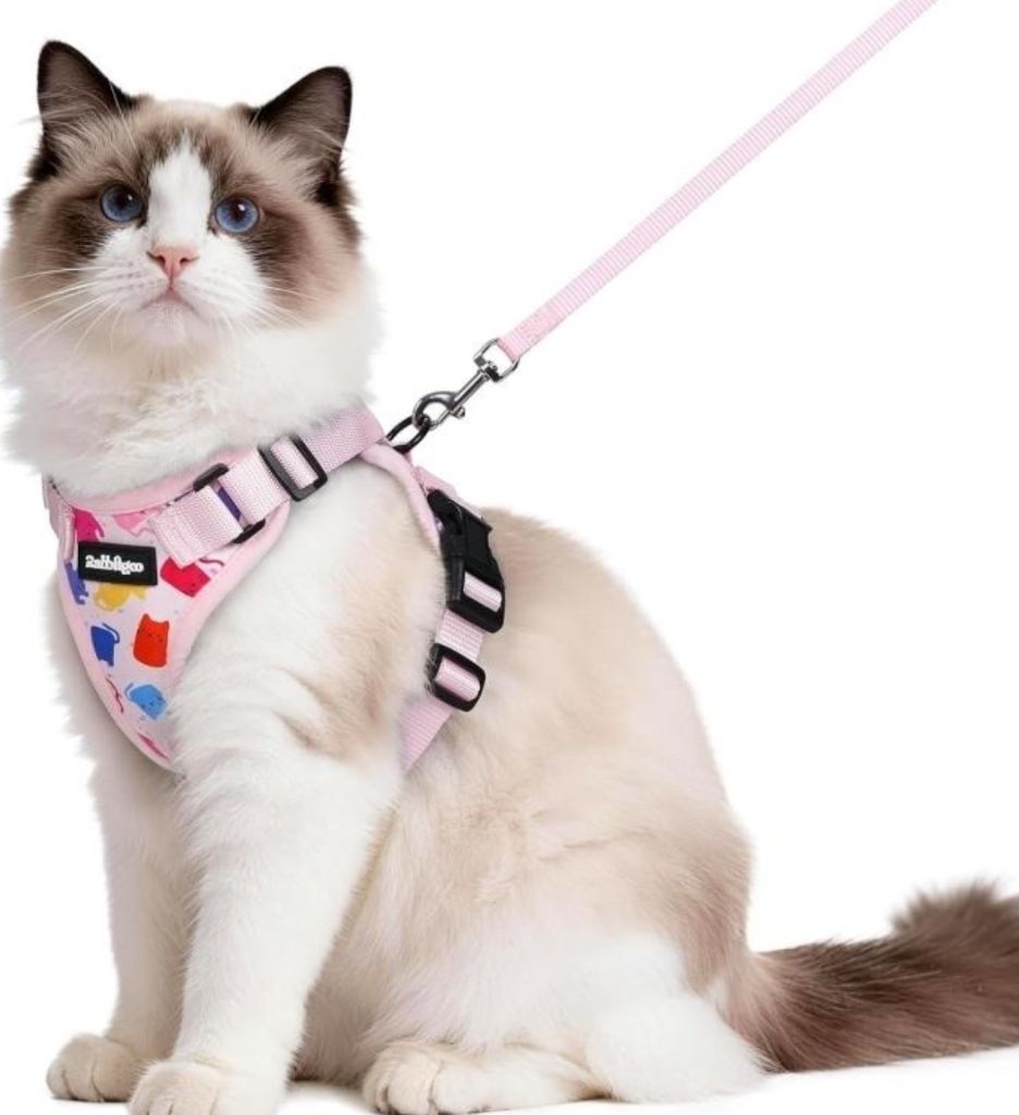 rabbitgoo Cat Harness and Leash Set, Escape Proof
