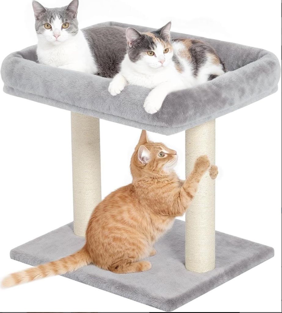 Cat Tree with Scratching Post 20 inch, Indoors-new in box