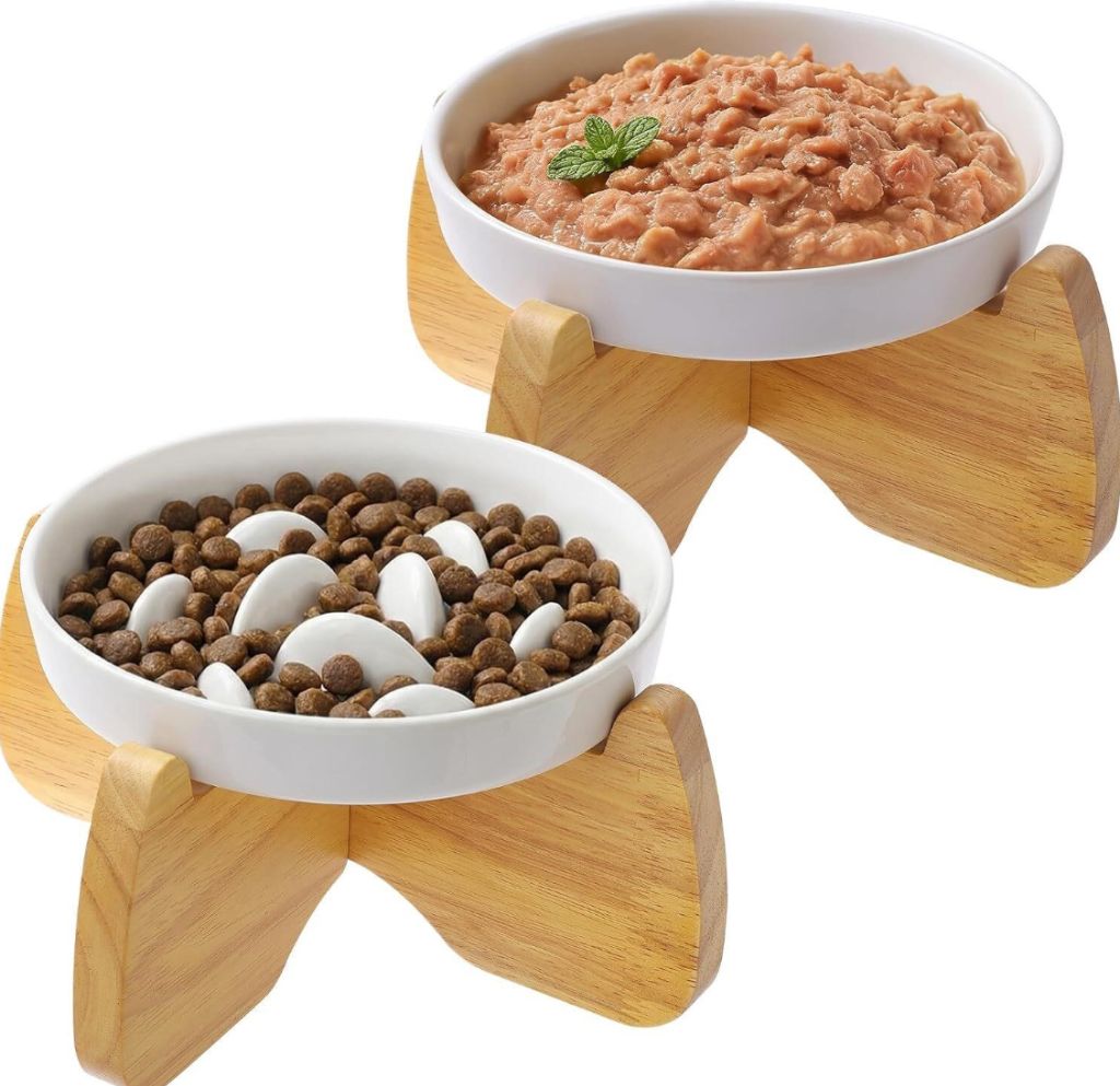 Ceramic Cat Bowls: 6.3" & Slow Feeder- sealed