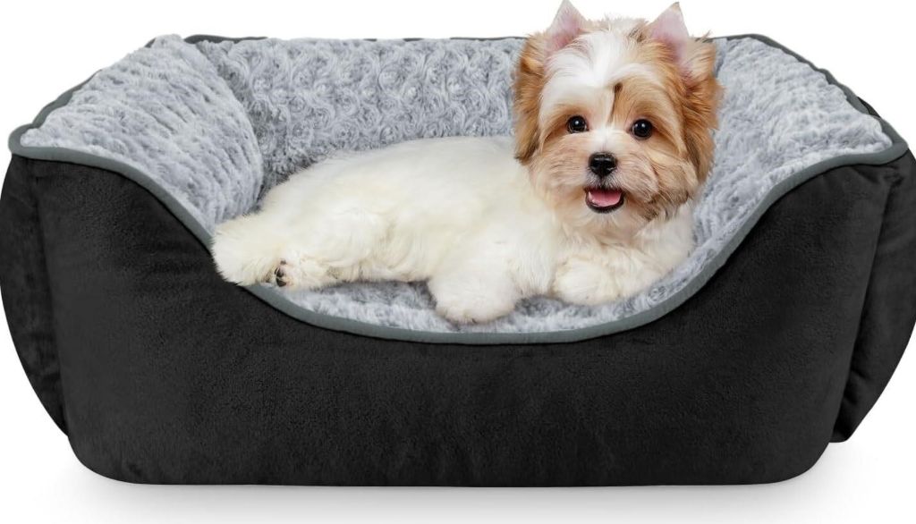 JOEJOY Rectangle Dog Bed, Orthopedic, Black