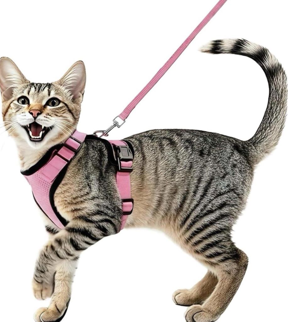 SEALED - Cat Harness & Leash Set - Pink (S)