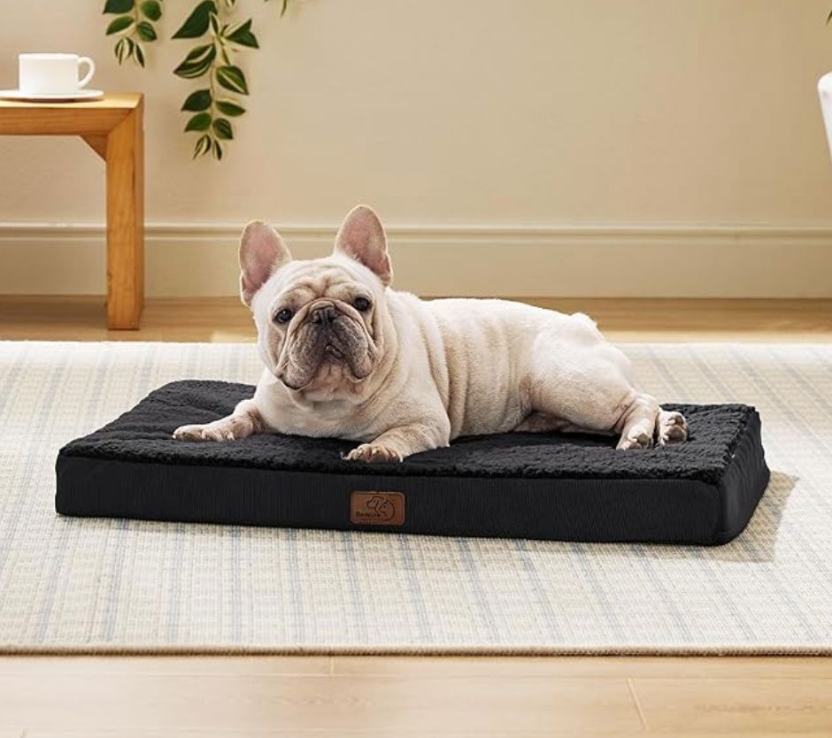Orthopedic Dog Beds M black or gray- 30"L x 20"W x 3 H- new in box