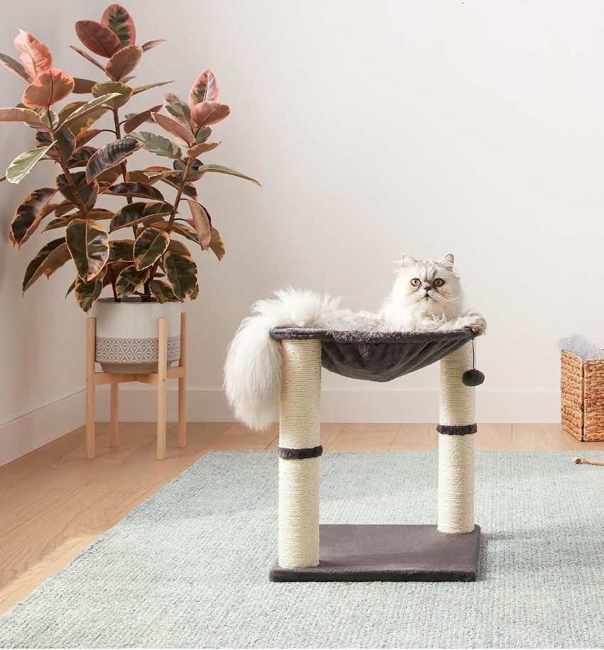 Amazon Basics Cat Tower - Hammock & Posts-new in box