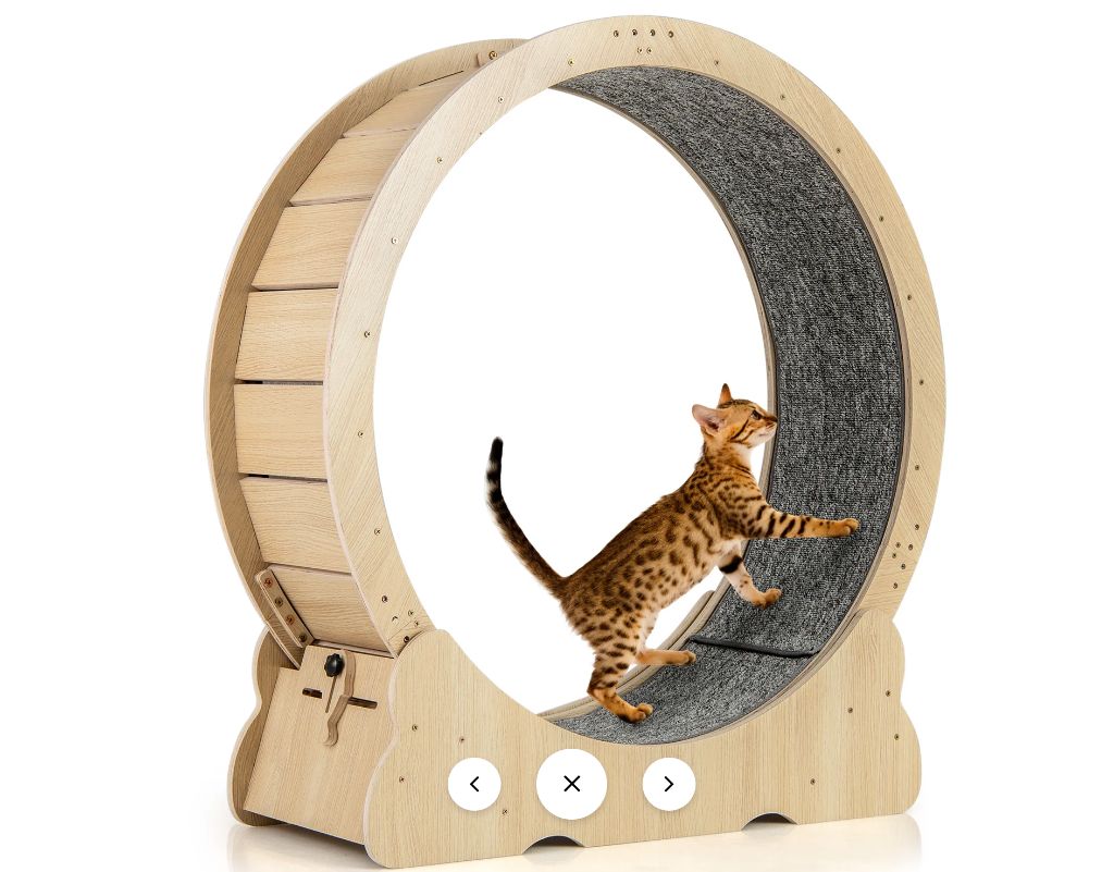 Cat Exercise Wheel 40 Inch Large-new in box
