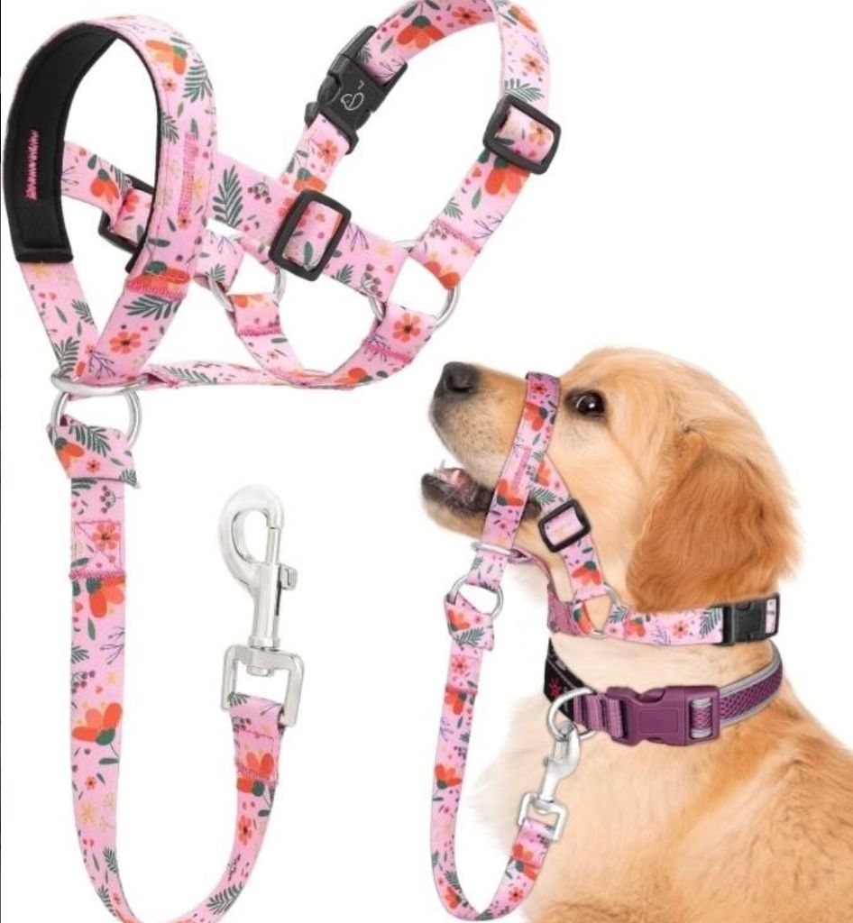 Dog Head Collard size S-new in box