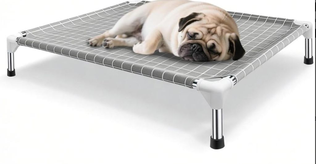 Elevated Dog Bed Pet Cot -new in box