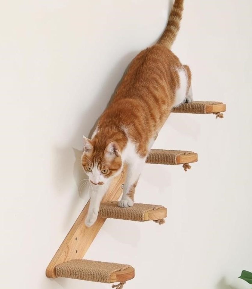 FUKUMARU Cat Climbing Shelf Wall Mounted, Large-new