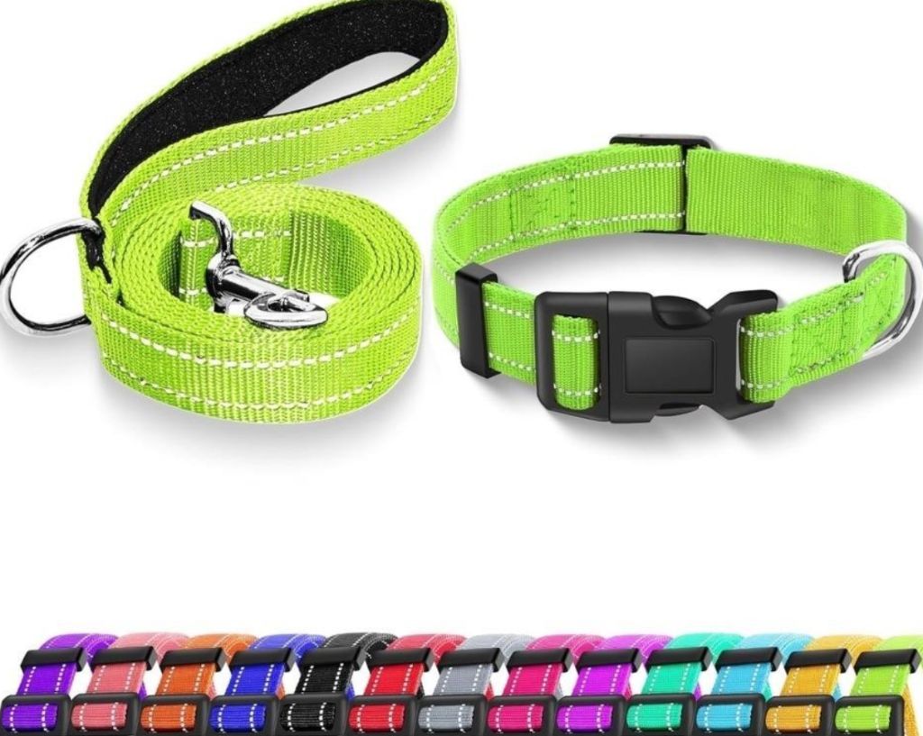 Reflective Dog Collar with Safety XS-new in box