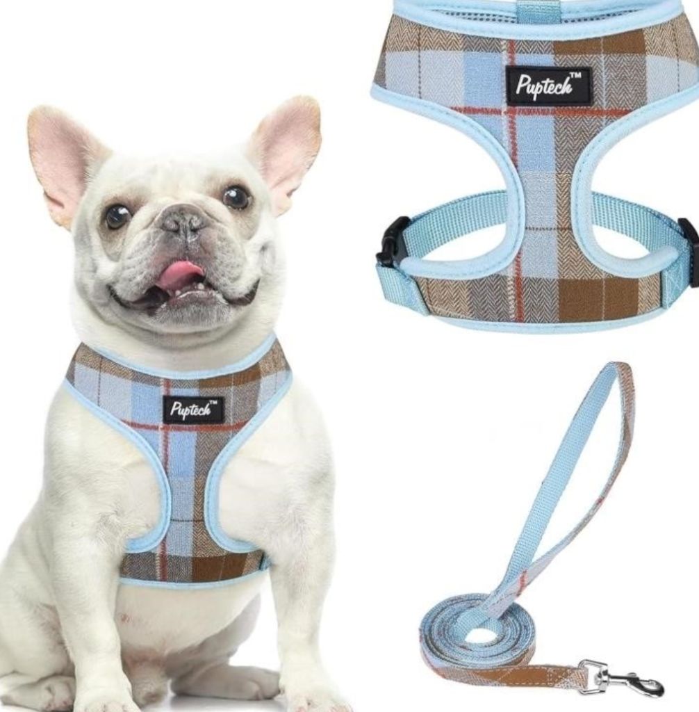 Small Dog Harness and Leash Set No Pull -new