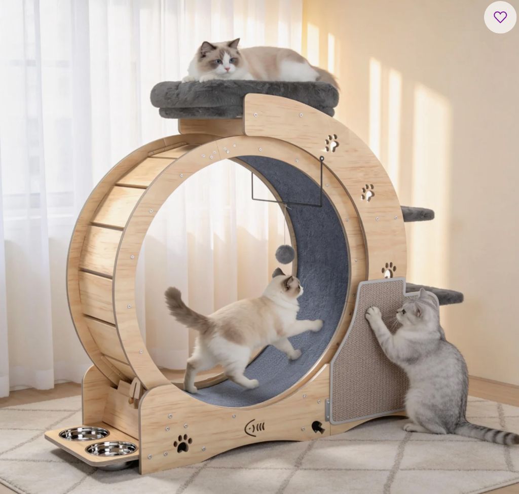 6-In-1 Cat Exercise Wheel large cats with Built-In Toys-new in box